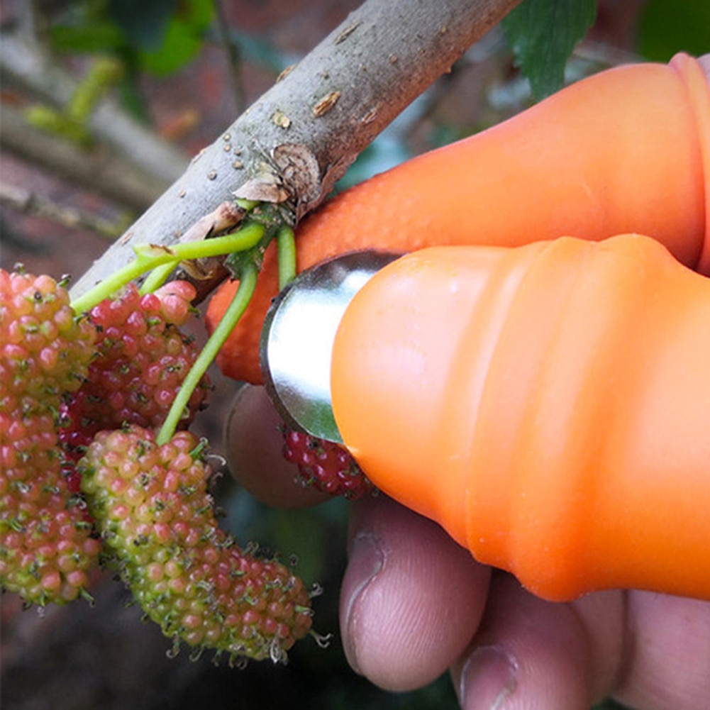 Silicone Thumb Knife Finger Protector Gears Cutting Vegetable Harvesting Knife Pinching Plant Blade Scissors Garden Gloves Silicone Thumb Knife Finger Protector Gears Cutting Vegetable Harvesting Knife Pinching Plant Blade Scissors Garden Gloves