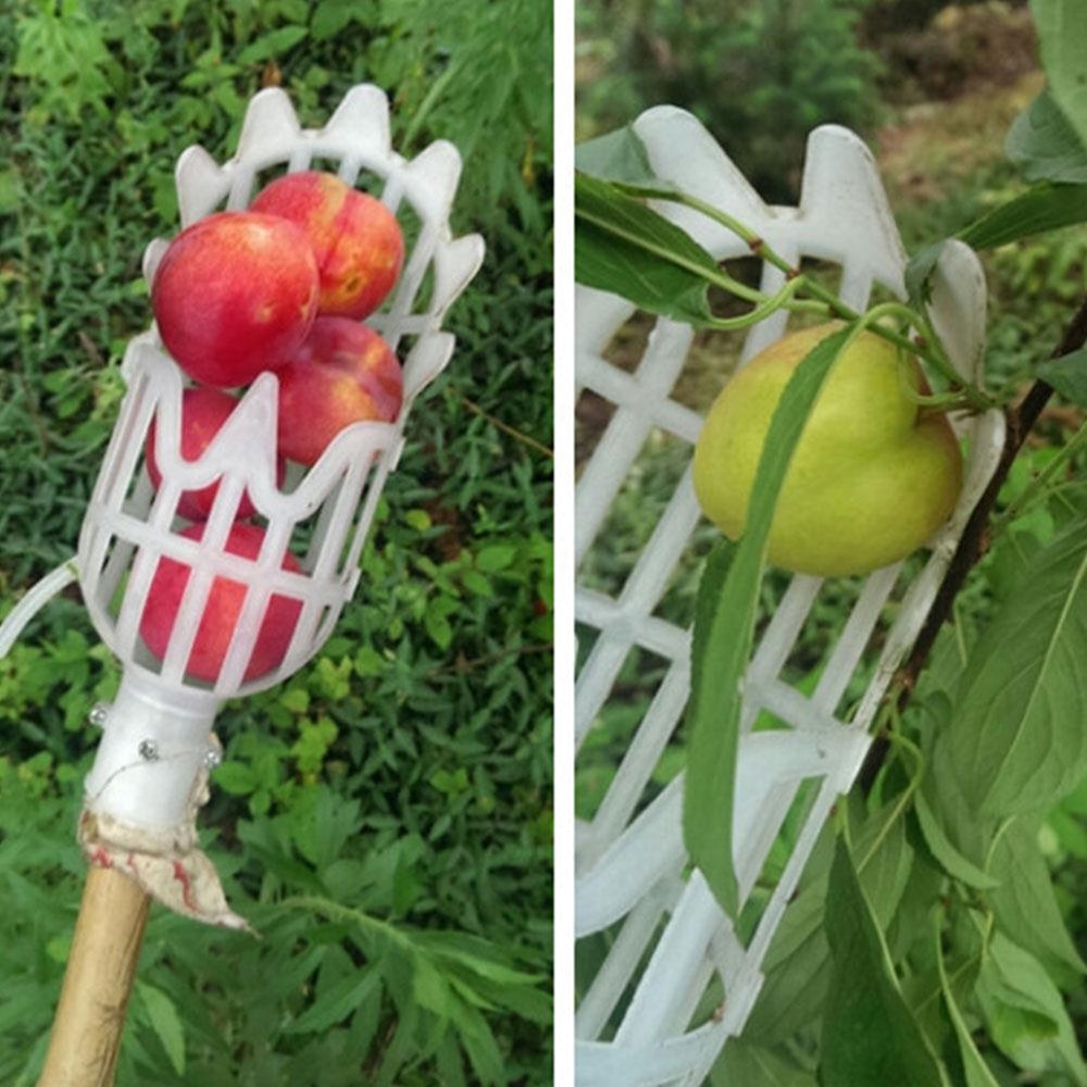 Fruit Picker Tool