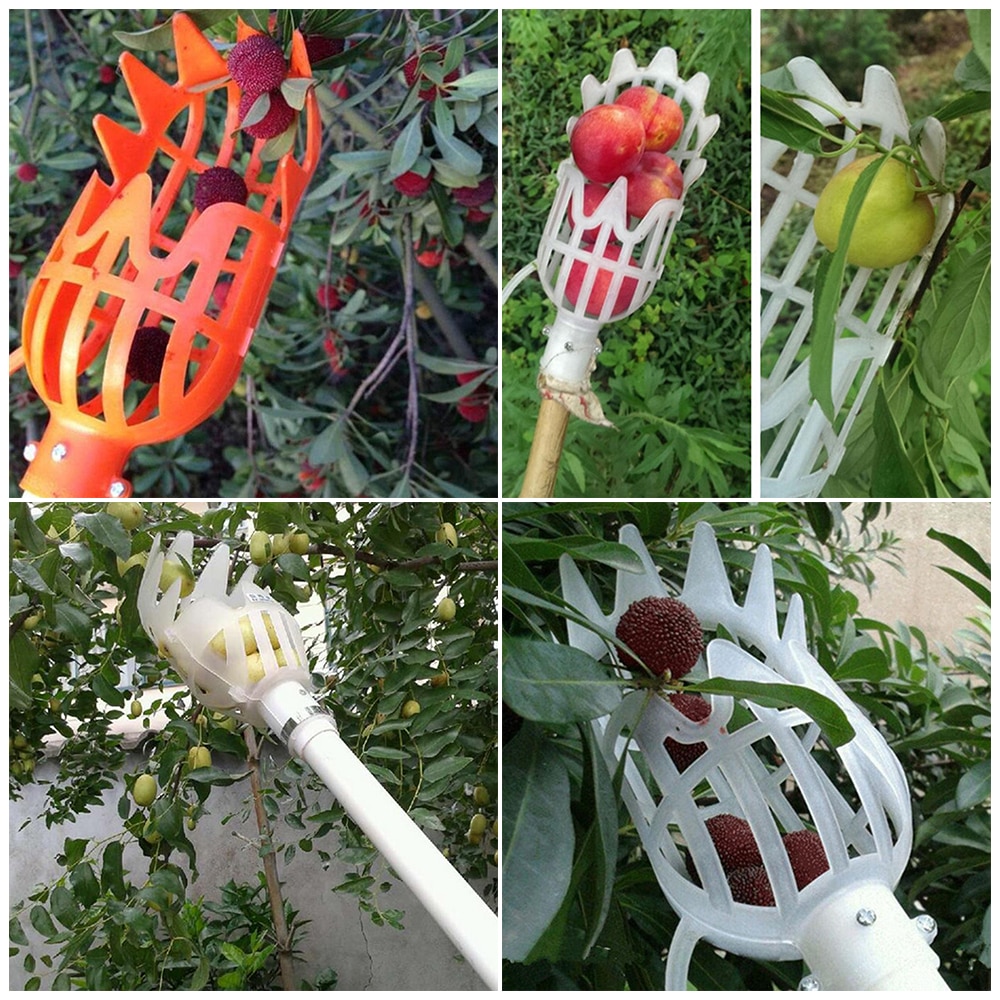 Fruit Picker Tool