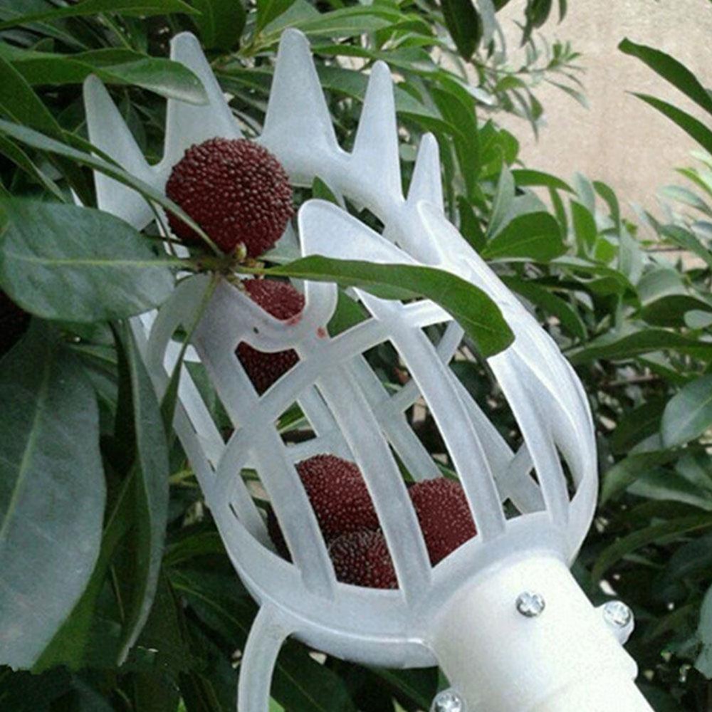 Fruit Picker Tool